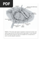 Pagine Da Master - Techniques - in - Orthopaedic - Surgery - Relevant - Surgical - Exposures - Master - Techniques - in - Orthopaedic - Surgery-2