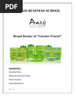 Download Brand Dossier of Garnier Fructis by Debasish Padhy SN61246965 doc pdf