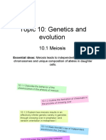 10.1 Meiosis