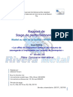 Rapport de Stage-rivera Metal-service Import(0)