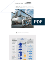 Natural Gas Processing Industry