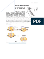 Splicing-exones e Intrones2019!4!29p13!10!53