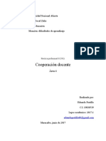 Práctica Profesional II Cooperación Docente