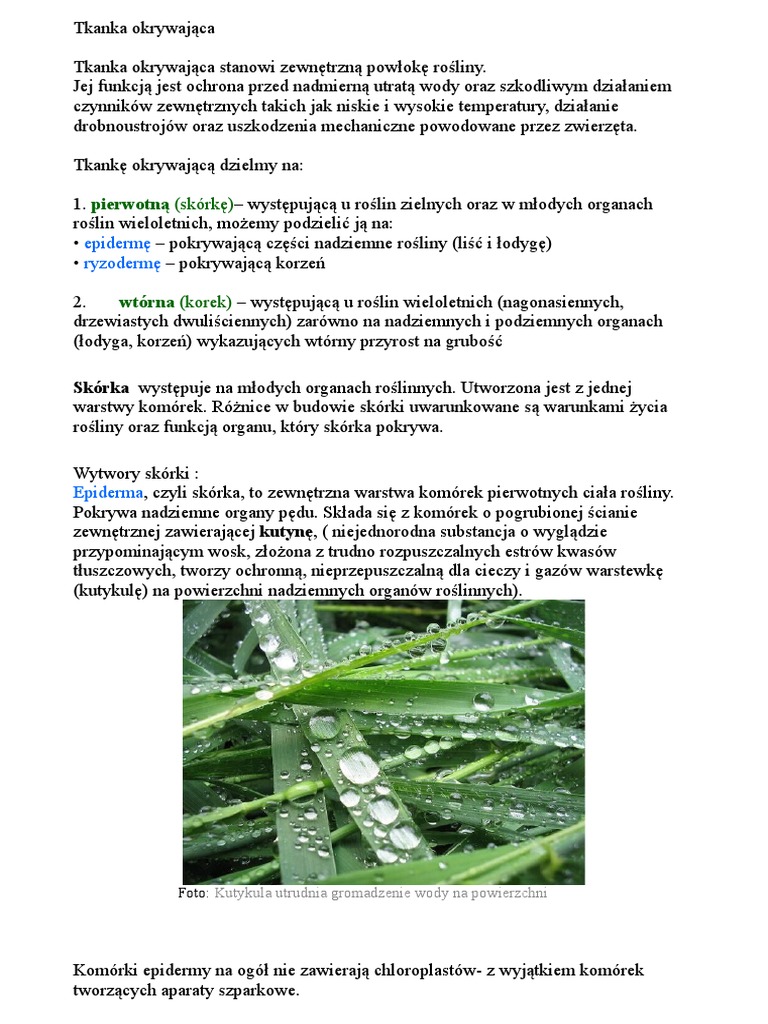 Tkanka Okrywajaca PDF
