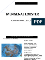 Introduction Lobster