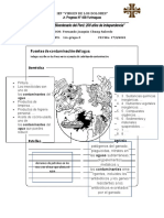 Actividad. Contaminación Del MDMD