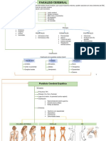 Esquema Parálisis Cerebral