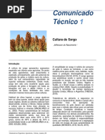 COMUNICADO TÉCNICO 1-SORGO