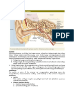 Histologi Telinga OHS