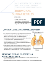 Glándulas suprarrenales: funciones y hormonas