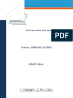 PP RF Ramirez Calvillo PDF