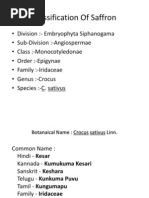 Classification of Saffron