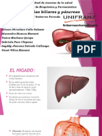 Higado - Vias Biliares - Pancreas