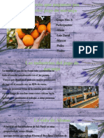 El precio que pagamos por nuestro jugo de naranja: condiciones de trabajo en las plantaciones brasileñas