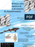 Dentículos Dérmicos Documento de Ricardo H