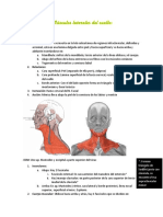 2do Parcial Anato