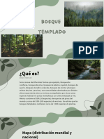 Presentación de Ecología Bosque Templado-2