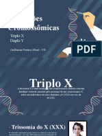 Triplo X, Duplo Y - Guilherme Pereira Albert, 3D