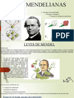 Ley de Mendel