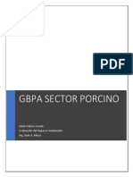 GBPA Sector Porcino Resumen Clase