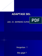 ADAPTASI SEL