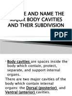 LOCATE AND NAME THE MAJOR BODY CAVITIES AND Marlette