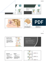 Hormon Hipofisis Dan Hipotalamus