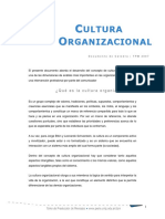 LA CULTURA ORGANIZACIONAL 1