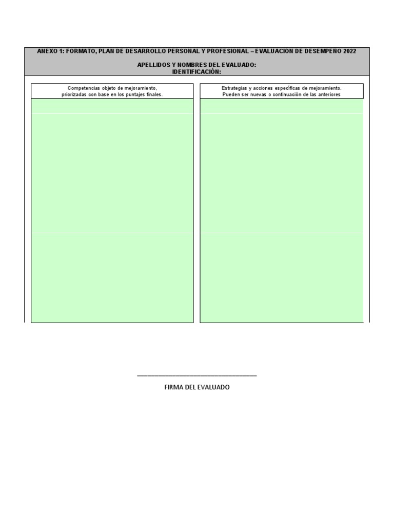 Formato Plan de Desarrollo Personal y Profesional | PDF | Negocios