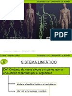 Sistema Linfatico