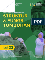 Salinan UP 3 Struktur Dan Fungsi Tumbuhan