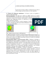 Tecnicas Exploratorias de Neurocirugia