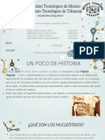 NUCLEÓTIDO Y DEGRADACIÓN DE ÁCIDOS NUCLEICOS - pptx1