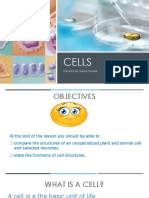Cell Structure and Function PPT 4LR