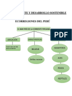 Ecorregiones Del Perú