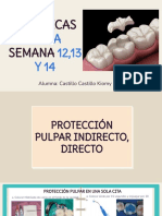 Proteccion Dentino Pulpar