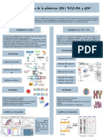 Reaccion en Cadena de La Polimerasa (PCR) "RFLP-PCR y QPCR"