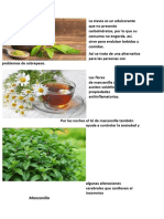 Las propiedades curativas de plantas medicinales