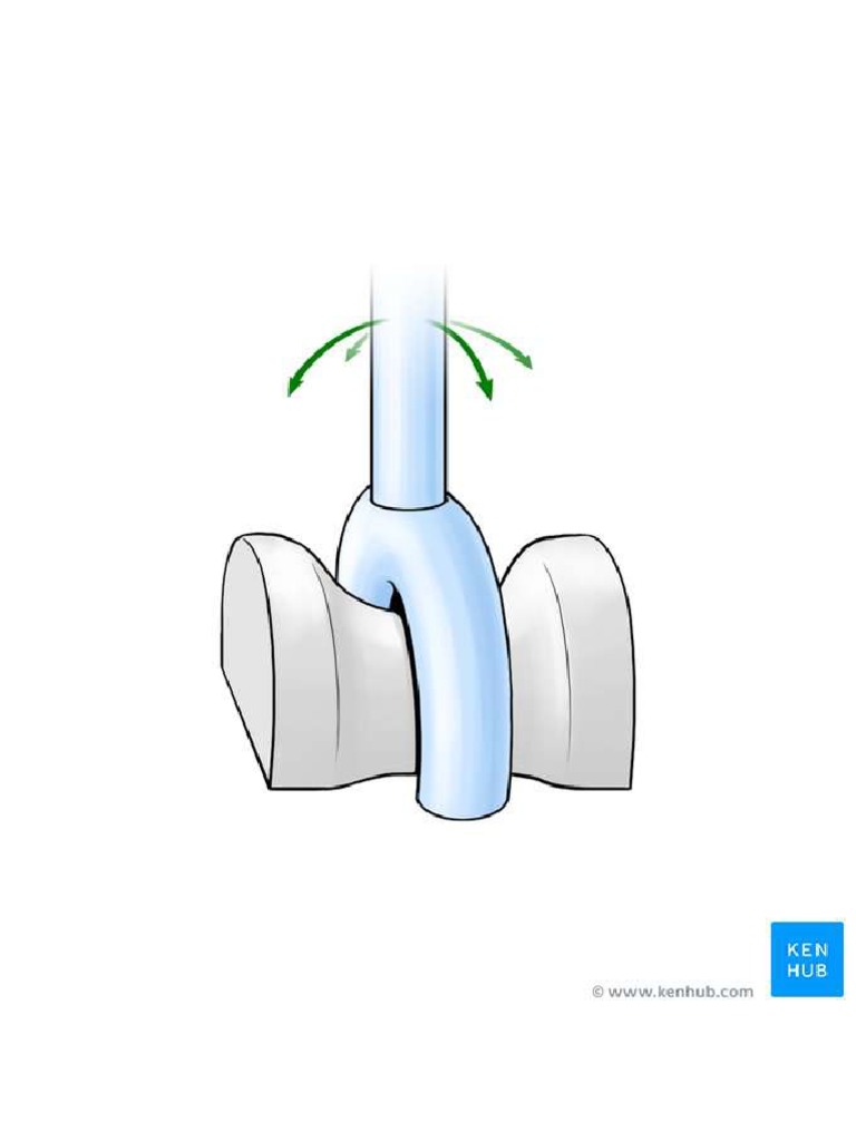 Articulación en Silla de Montar PDF