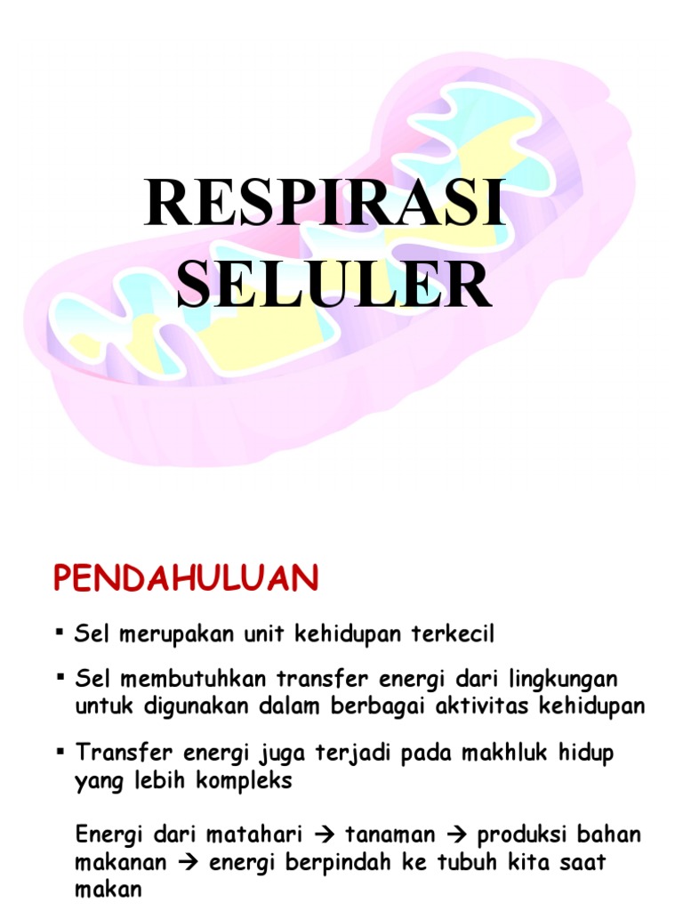 Respirasi Seluler | PDF
