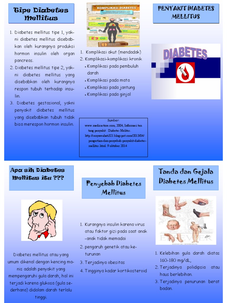 Leaflet Diabetes Mellitus (Nlm) (1) | PDF