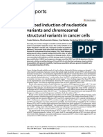 Echoed Induction of Nucleotide Variants and Chromosomal Structural Variants in Cancer Cells