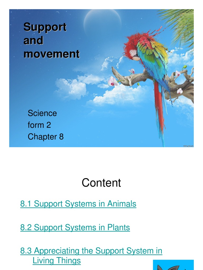 Support and Movement | PDF | Skeleton | Invertebrate