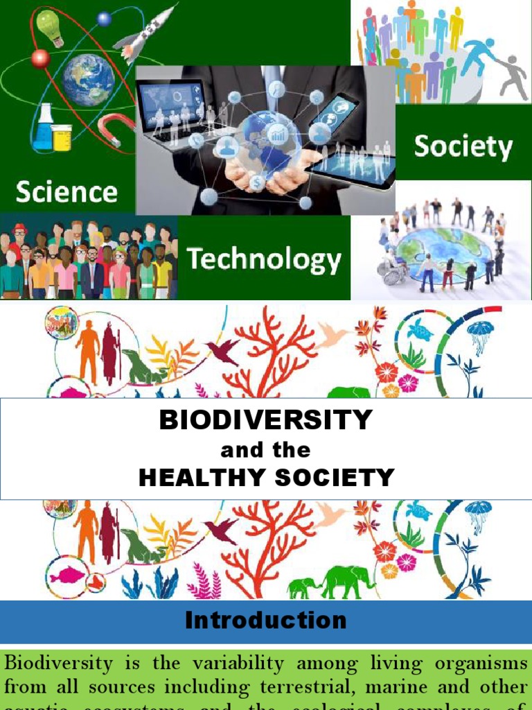 Biodiversity's Role in Healthy Societies | PDF | Biodiversity | Ecosystem