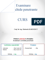 Curs 1 - LP