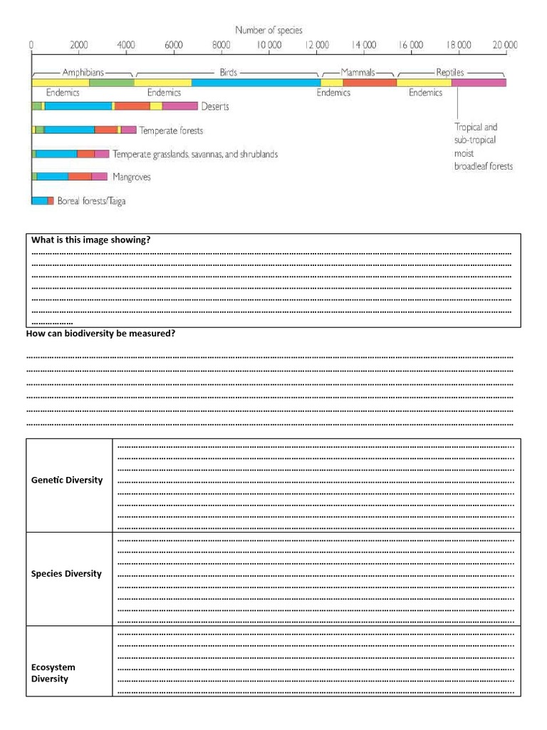Biodiversity Worksheet | PDF | Species | Earth Phenomena