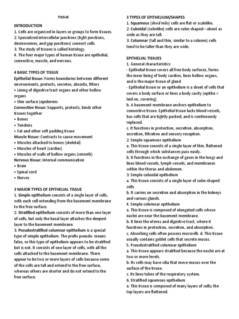 Tissue Reviewer Pdf Epithelium Tissue Biology