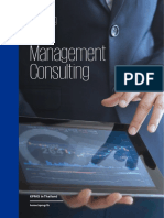 TH Management Consulting Advisory Services Brochure
