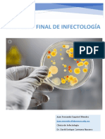 Proyecto Final Infecto