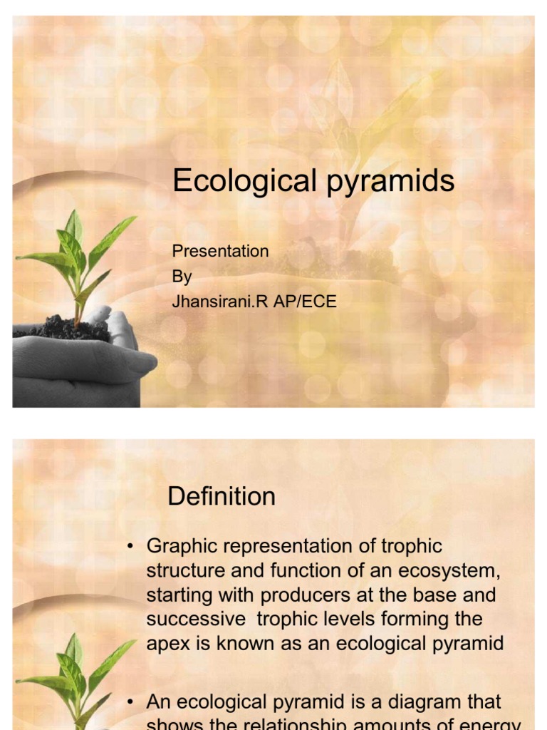 Ecological Pyramids, Energy Flow & Nutrient Cycle PDF Food 